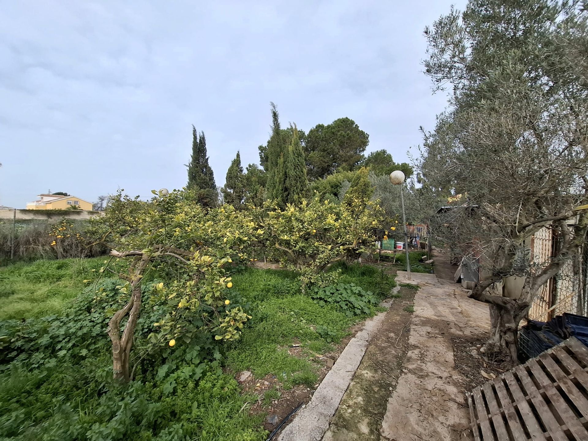 Country house for sale in Guardamar del Segura  with Private garden, Terrace and Storage room