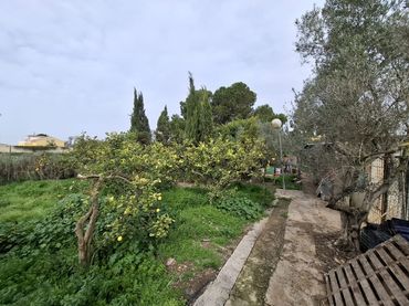 Country house with garden for sale in Partida Saavedra