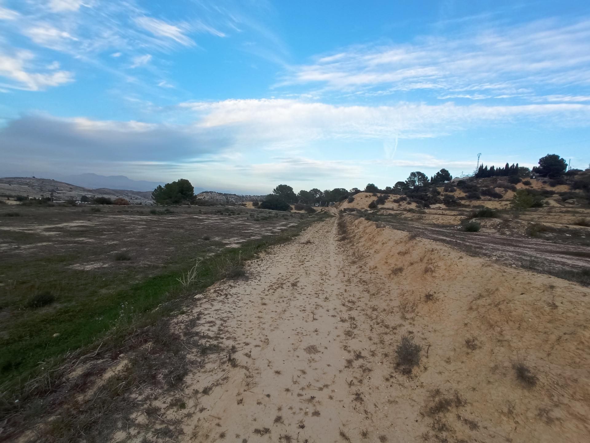 Land for sale in Aspe