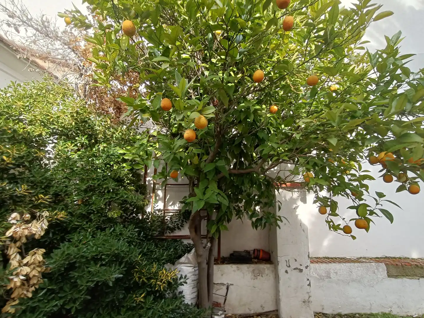Jardí de Casa o xalet en venda en Ciudad Real