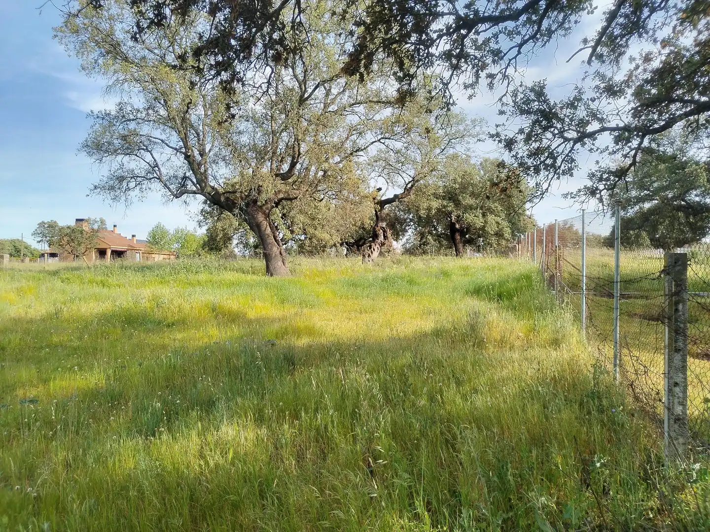 Terreny en venda en Casar de Cáceres