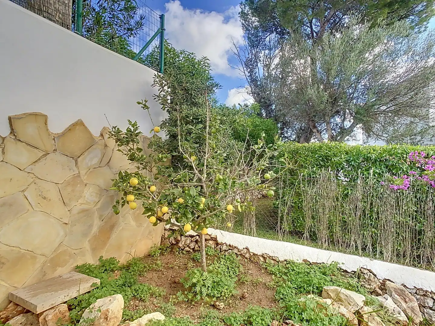 Casa o chalet en venta en Portopetro