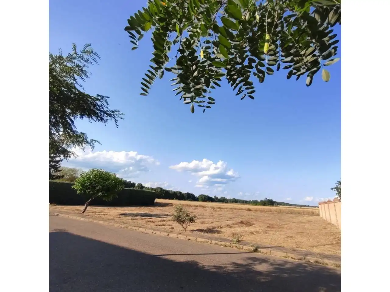 Terreni e lotti in vendita a Llanos, imagen 6
