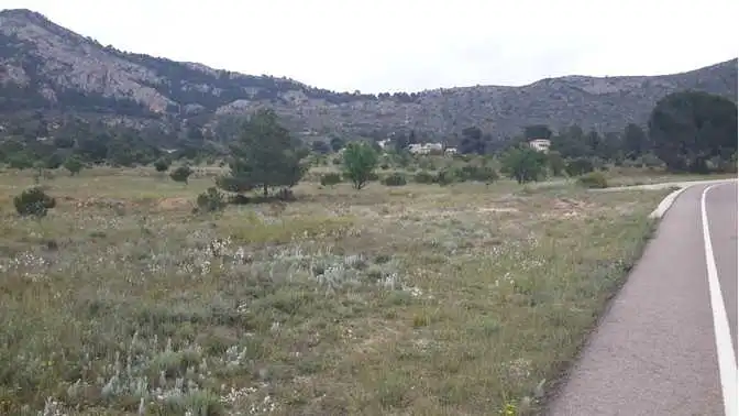 Rural land for sale in Pl 51,Sc 23 Peñarrubia, imagen 6