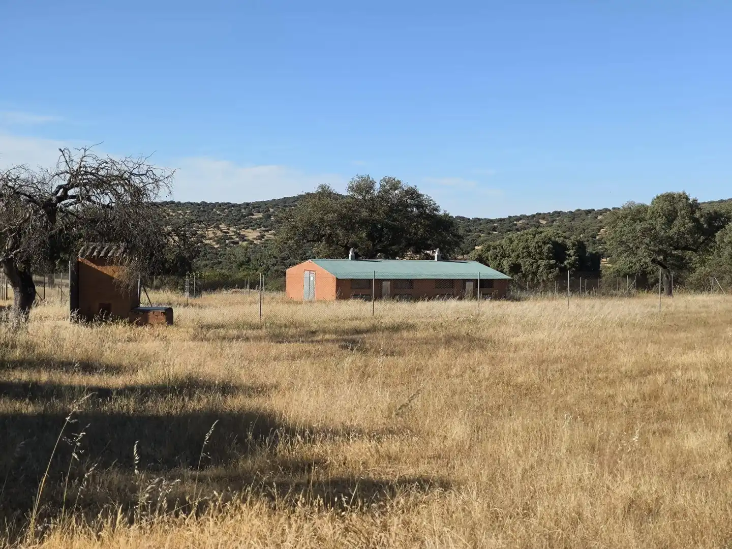 Rural land for sale in Fuente Obejuna, imagen 8
