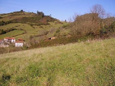 Terreno residenziale in vendita a Salas