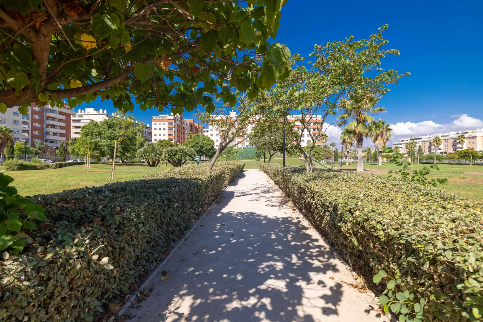 Vista exterior de Àtic en venda en Málaga amb Aire condicionat, Calefacció i Terrassa