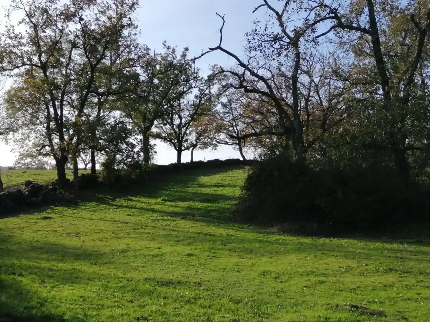 Terreno en venta en Gargüera, Cáceres