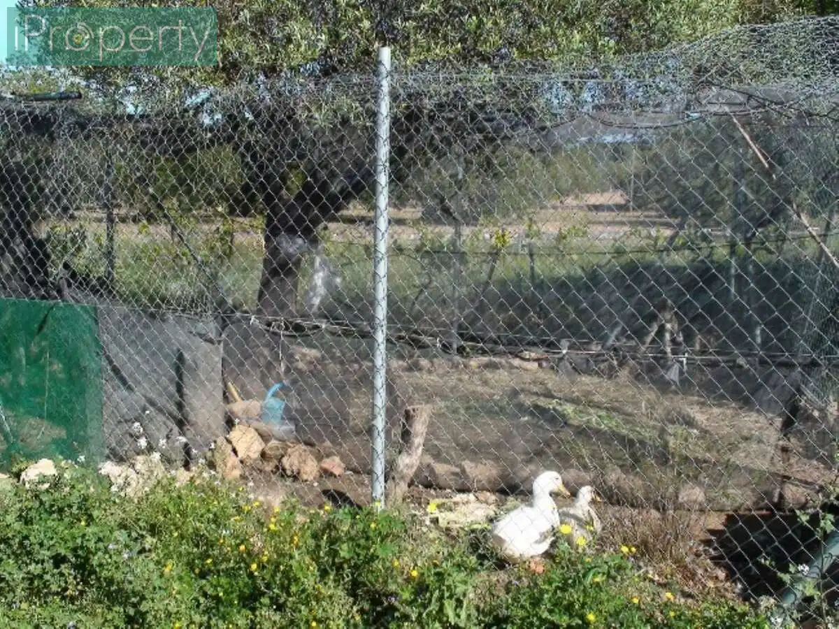Jardín de Finca rústica en venta en El Vendrell con Aire acondicionado, Calefacción y Jardín privado