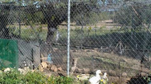 Foto 5 de Finca rústica en venda a Plaza de Mar S/n, Centre, Tarragona