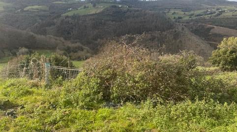Foto 2 de Finca rústica en venda a Caserio Vijande, Vegadeo, Asturias