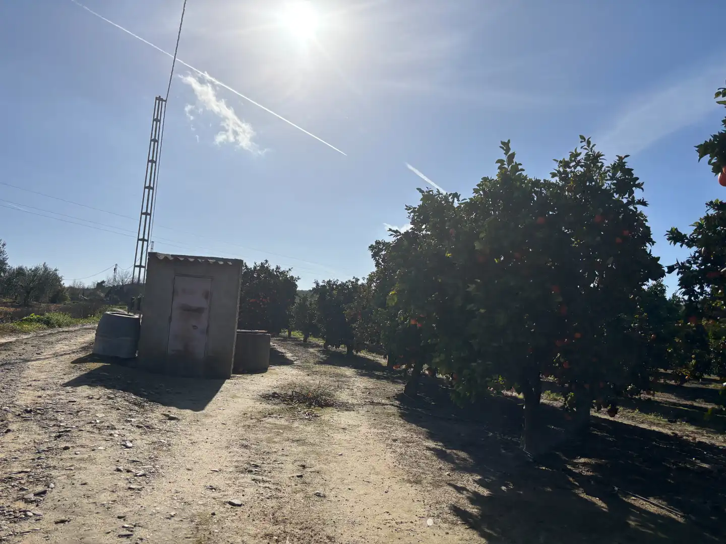 Land for sale in Sanlúcar la Mayor