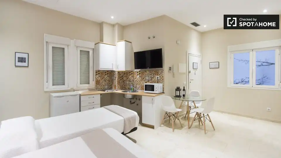 Wohnung mit Terrasse zur Miete in Centro, imagen 5