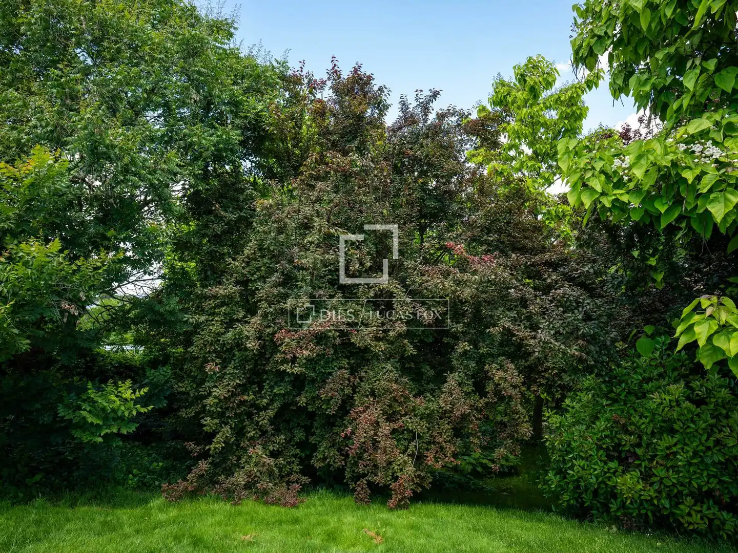 Casa o xalet en venda en Algete amb Aire condicionat, Jardí privat i Terrassa