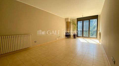 Foto 4 de Planta baja de alquiler en Carretera Prats, 42, El Forn - Prats - Meritxell, Canillo