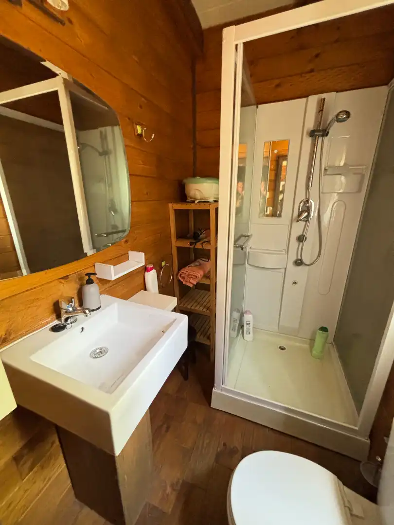 Bany de Finca rústica en venda en Andújar amb Aire condicionat, Jardí privat i Piscina