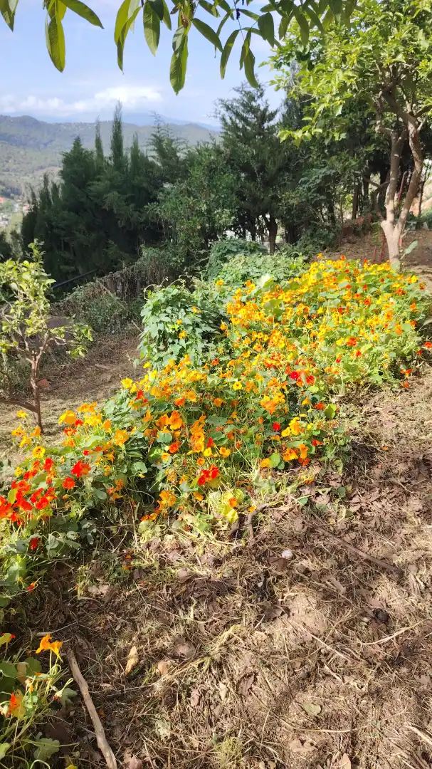 Garden of Houses for sale in Argentona  with Air Conditioner, Heating and Private garden