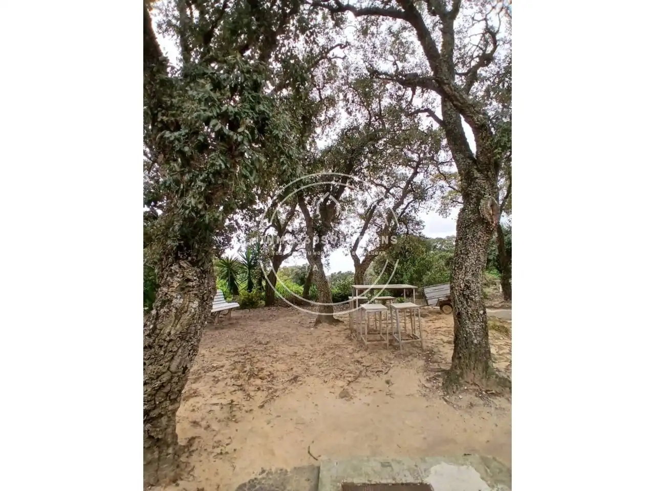 Casa o xalet en venda en Tarifa amb Aire condicionat, Jardí privat i Terrassa