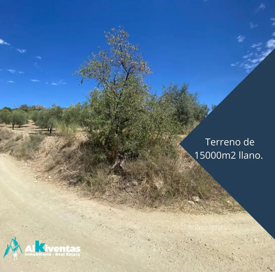 Terreno residencial en venta en Casarabonela, imagen 3