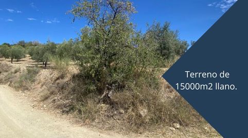 Ref. 29 Terreno en Casarabonela, imatge 3