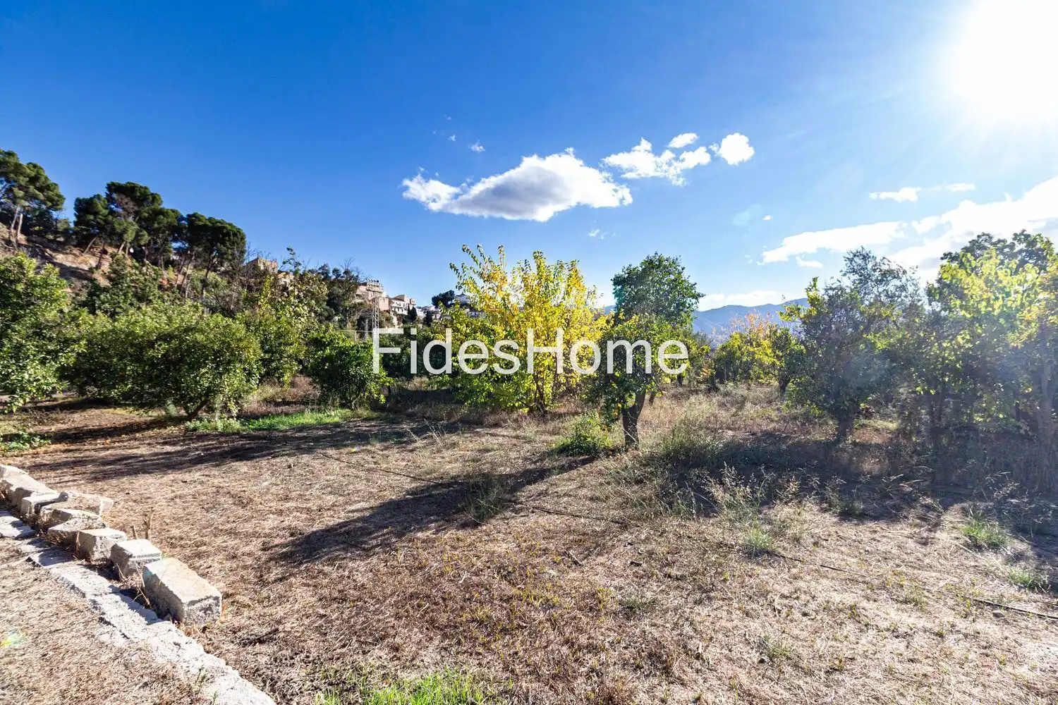 Terreno rustico in vendita a XC2W+49C Talará 0, imagen 3
