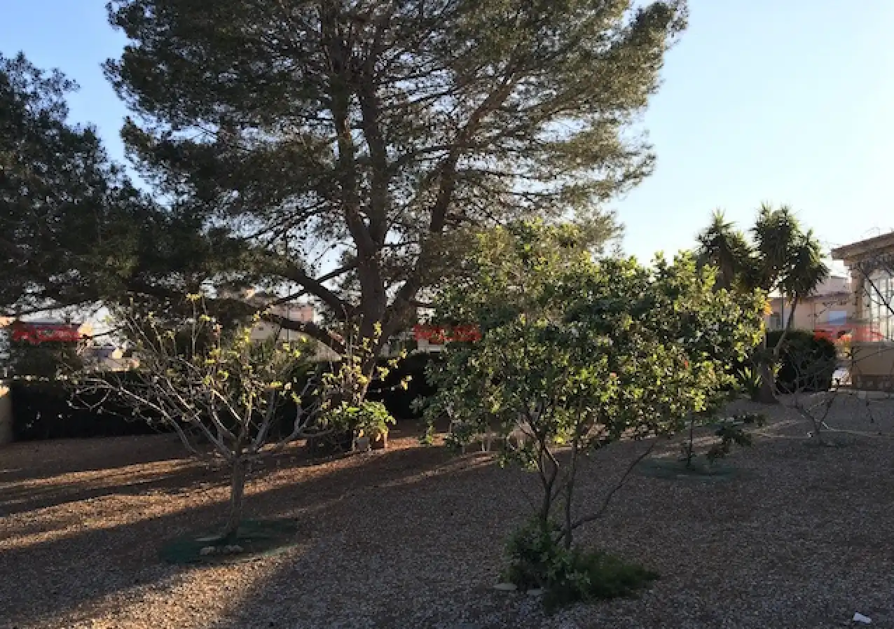 Chalet con jardín en venta en Calle Mimosa 23, imagen 4