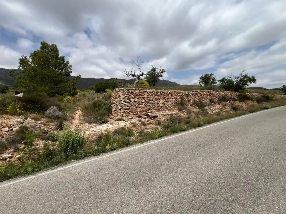 Terreny residencial en venda a Hondón de las Nieves / El Fondó de les Neus, imagen 10
