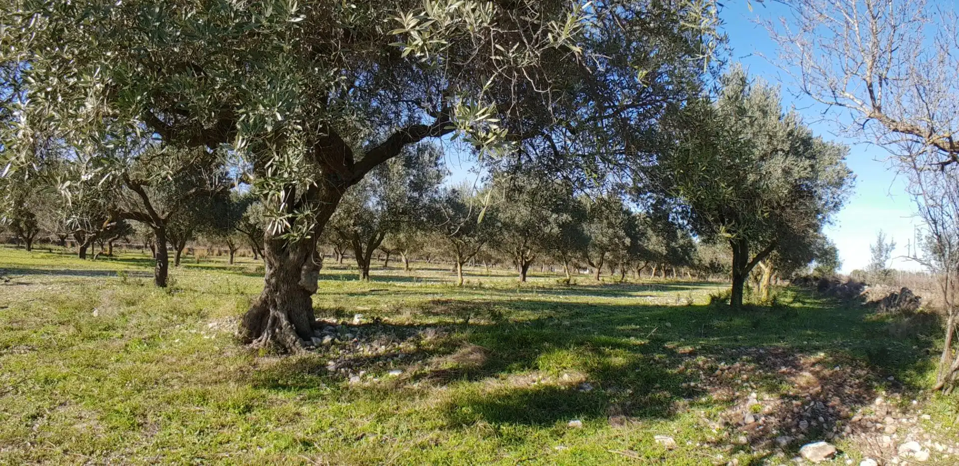 Finca rústica en venta en El Perelló con Jardín privado, Terraza y Trastero