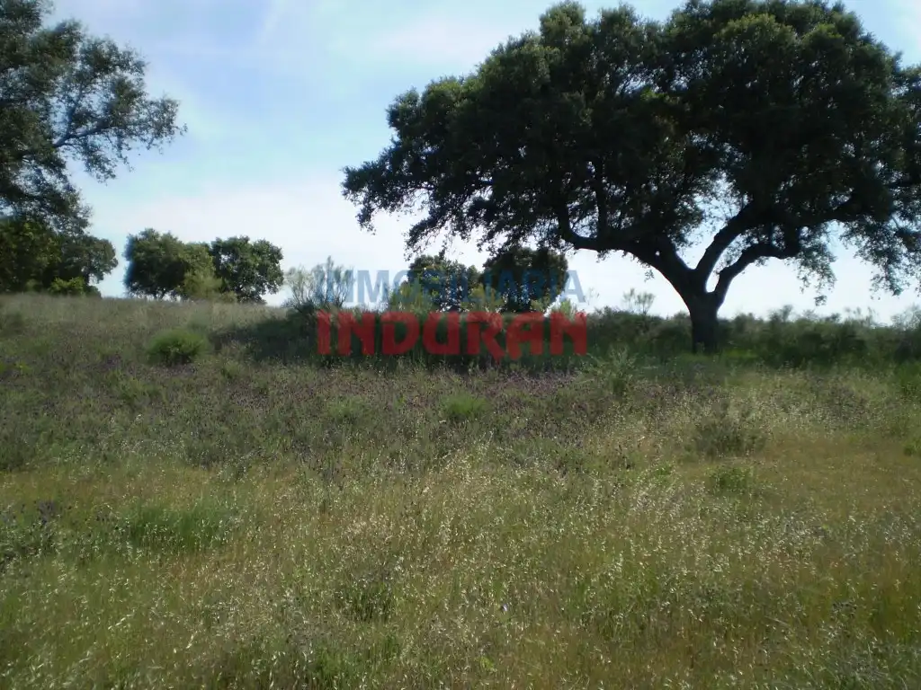 Casa rústica en venda a Valdehúncar, imagen 12