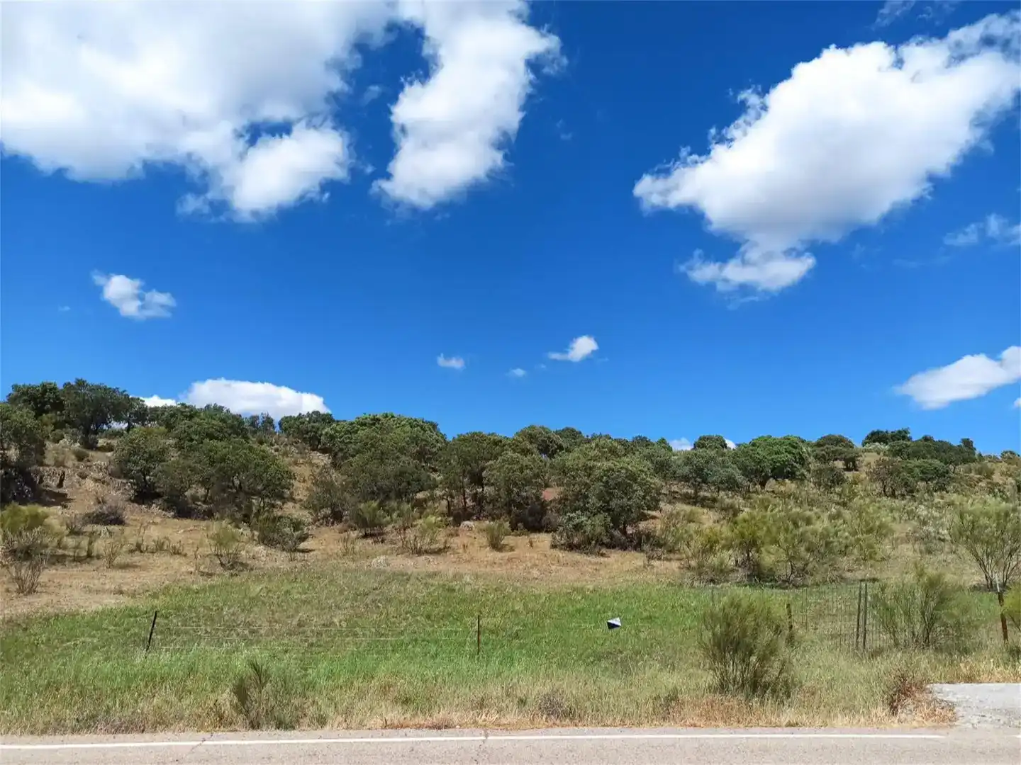 Land for sale in Jaraicejo, Cáceres