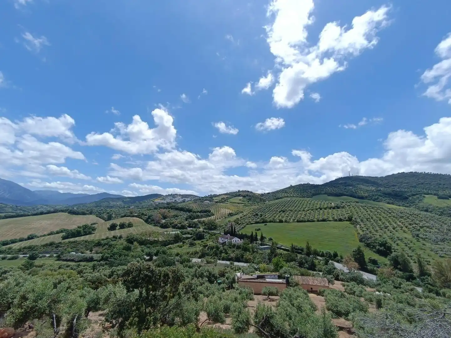 Exterior view of Residential for sale in Prado del Rey
