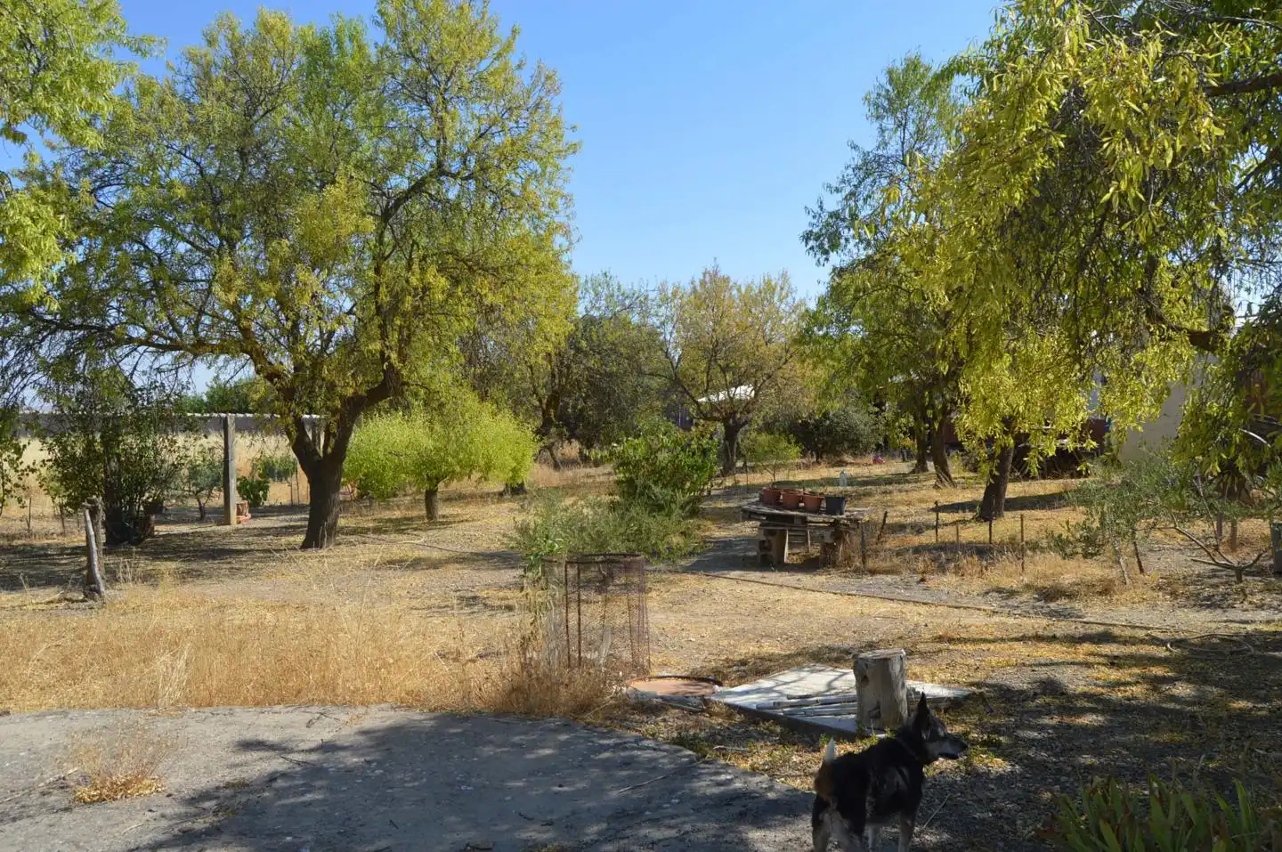 Finca rústica en venda en Tarancón amb Jardí privat