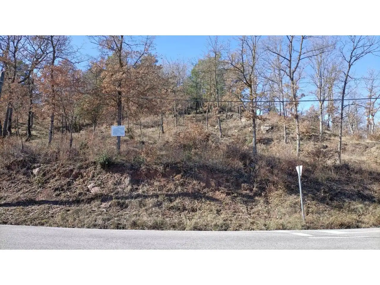 Land for sale in Muntanyola