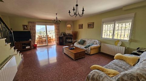 Orxeta / Caracter Partida Olivar, imatge 4