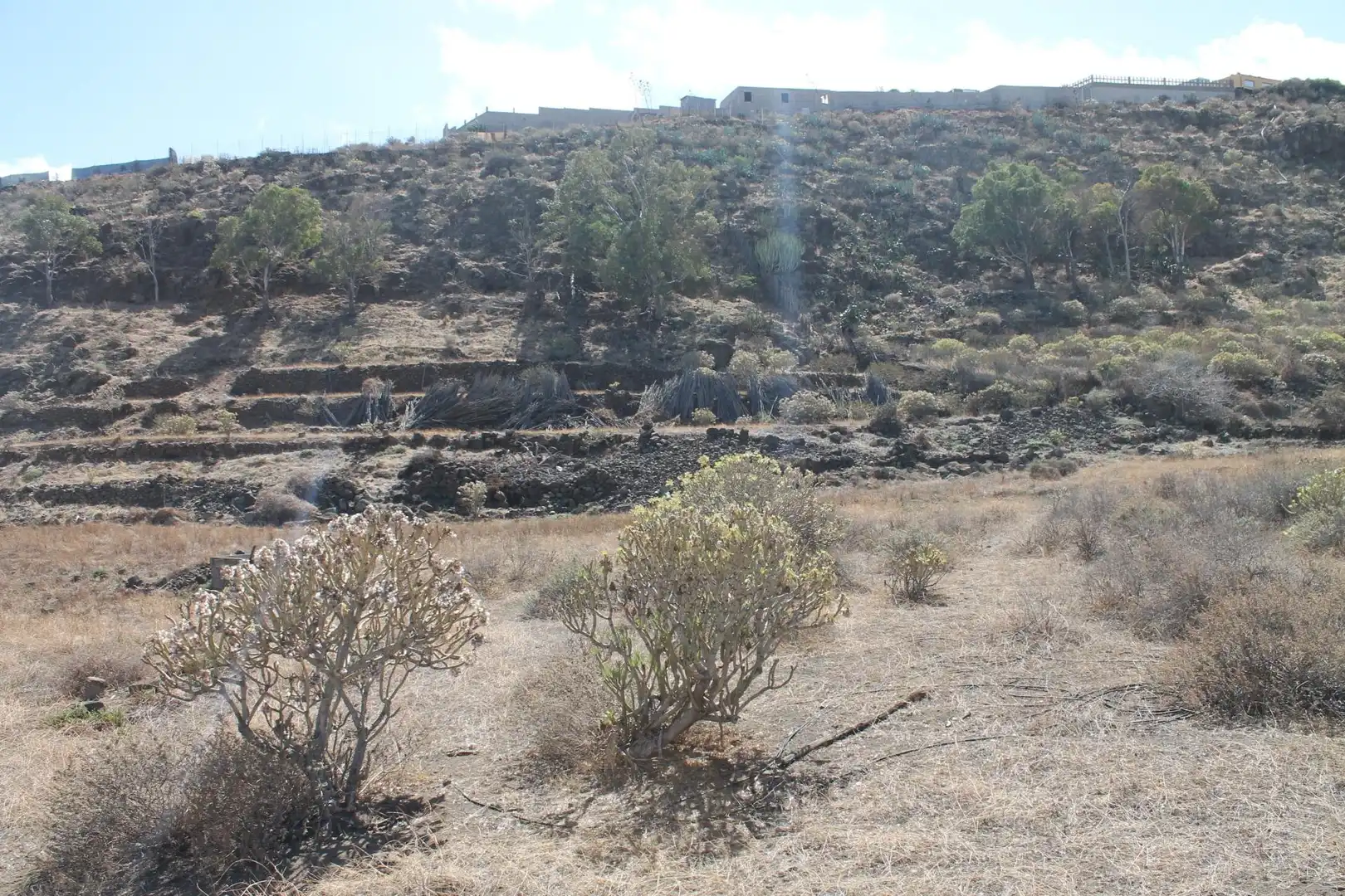 Rural land for sale in San Gregorio, imagen 10
