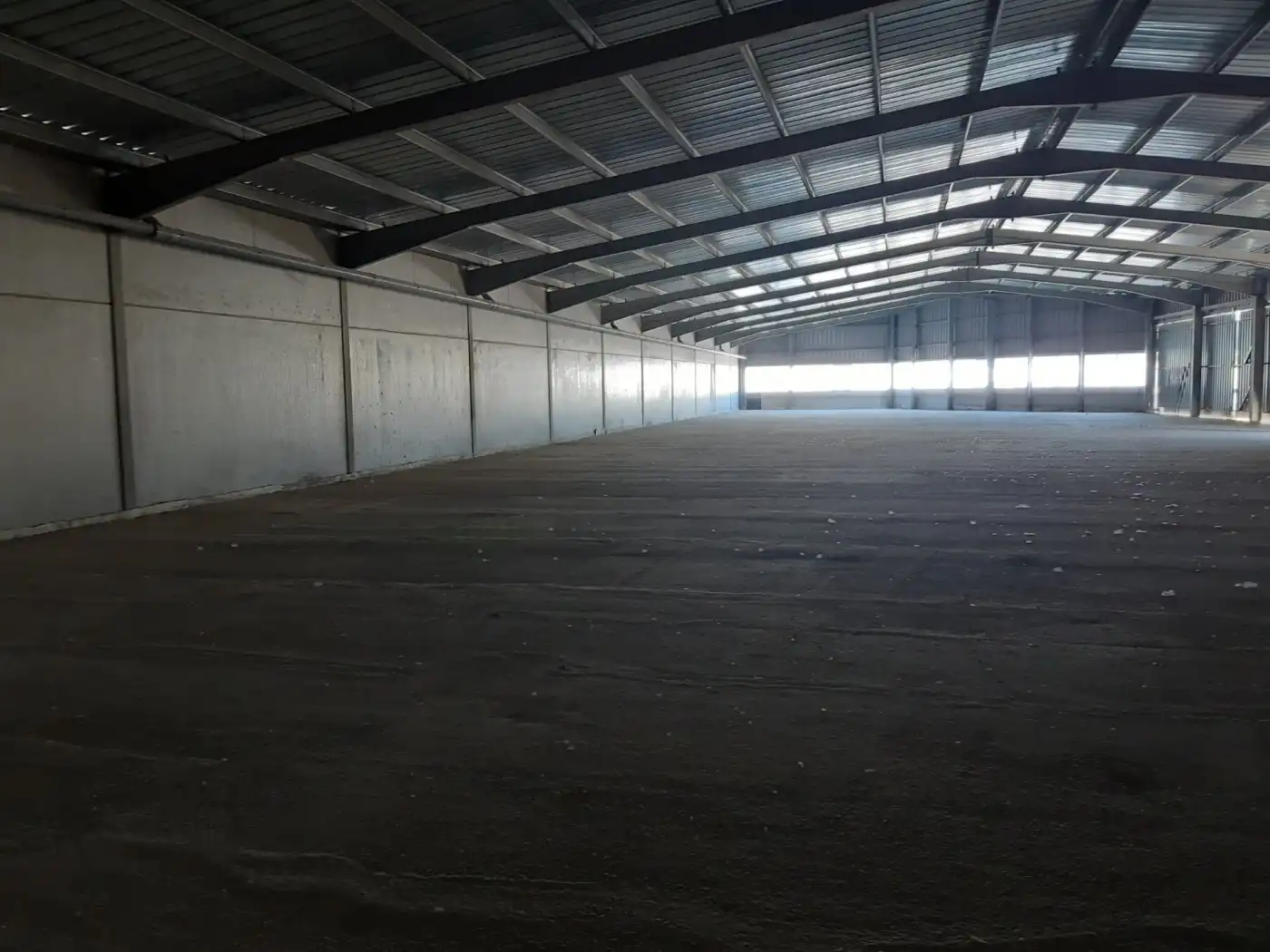 Nave industrial en venta en Sax, imagen 5