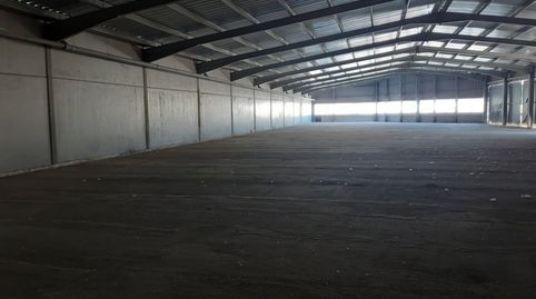 Nave Industrial, image 5