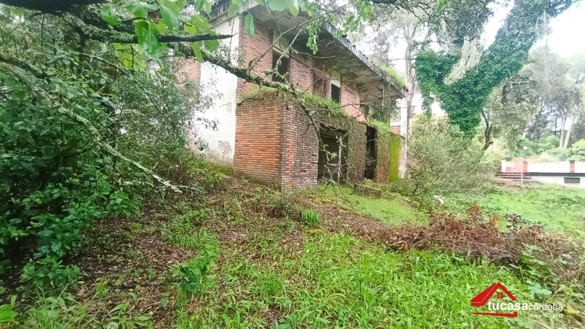 Houses for sale in Las Jaras