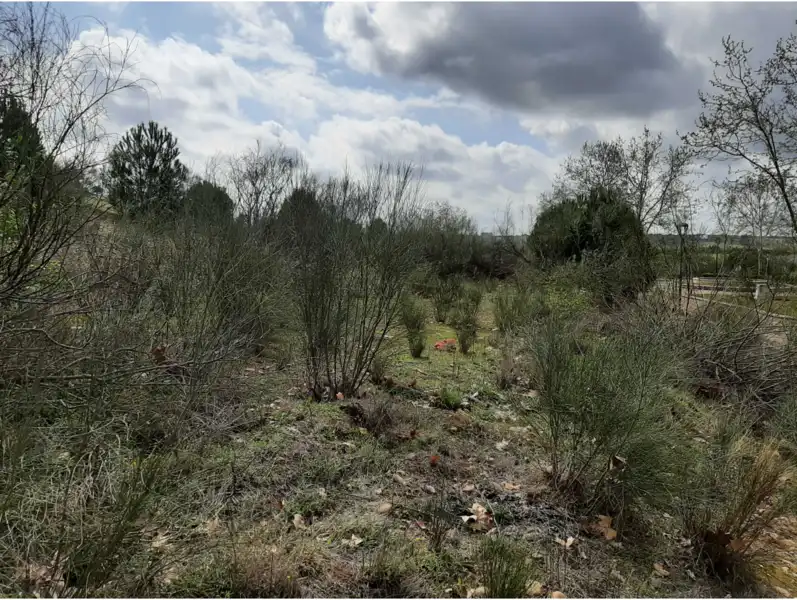 Terreni e lotti in vendita a GOLF DEL GUADIANA, imagen 19