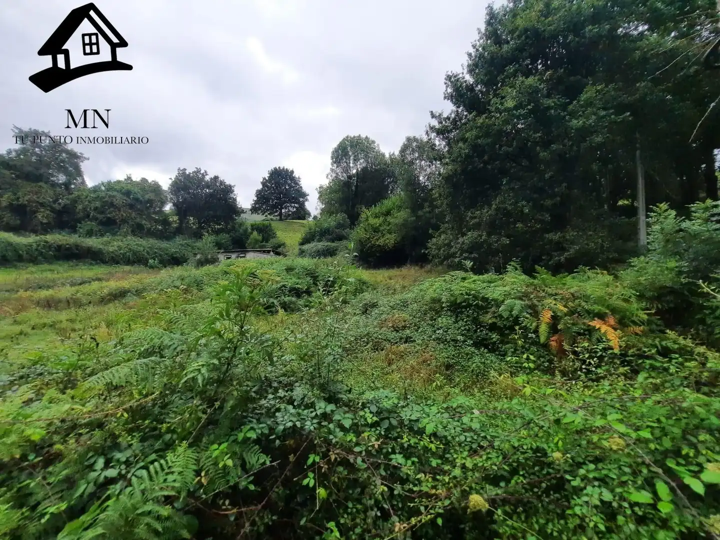 Finca rústica en venta en Corvera de Toranzo