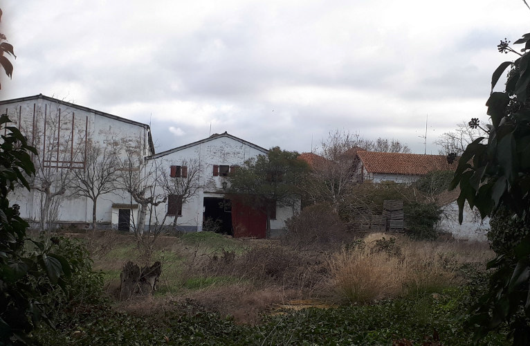 Building for sale in Peralta / Azkoien