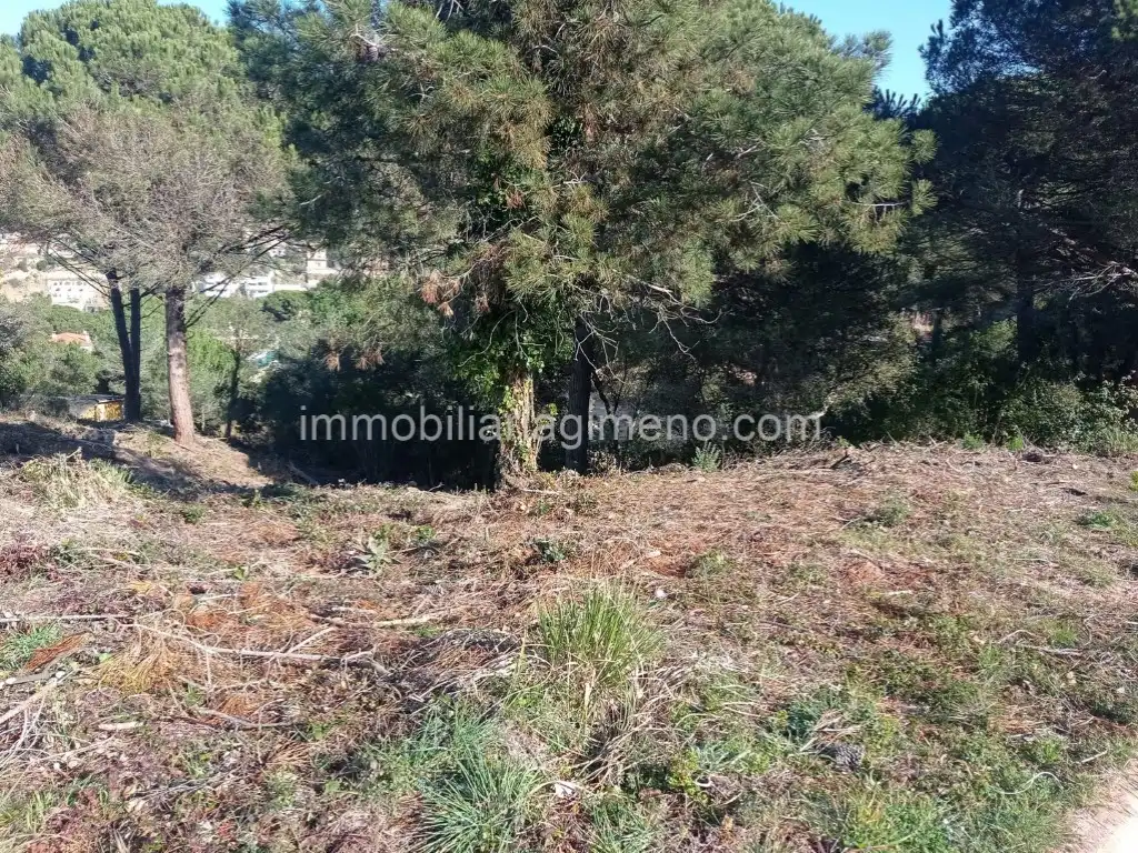 Wohnbaugrundstück zum Verkauf in Carrer Cometa Halley, imagen 3