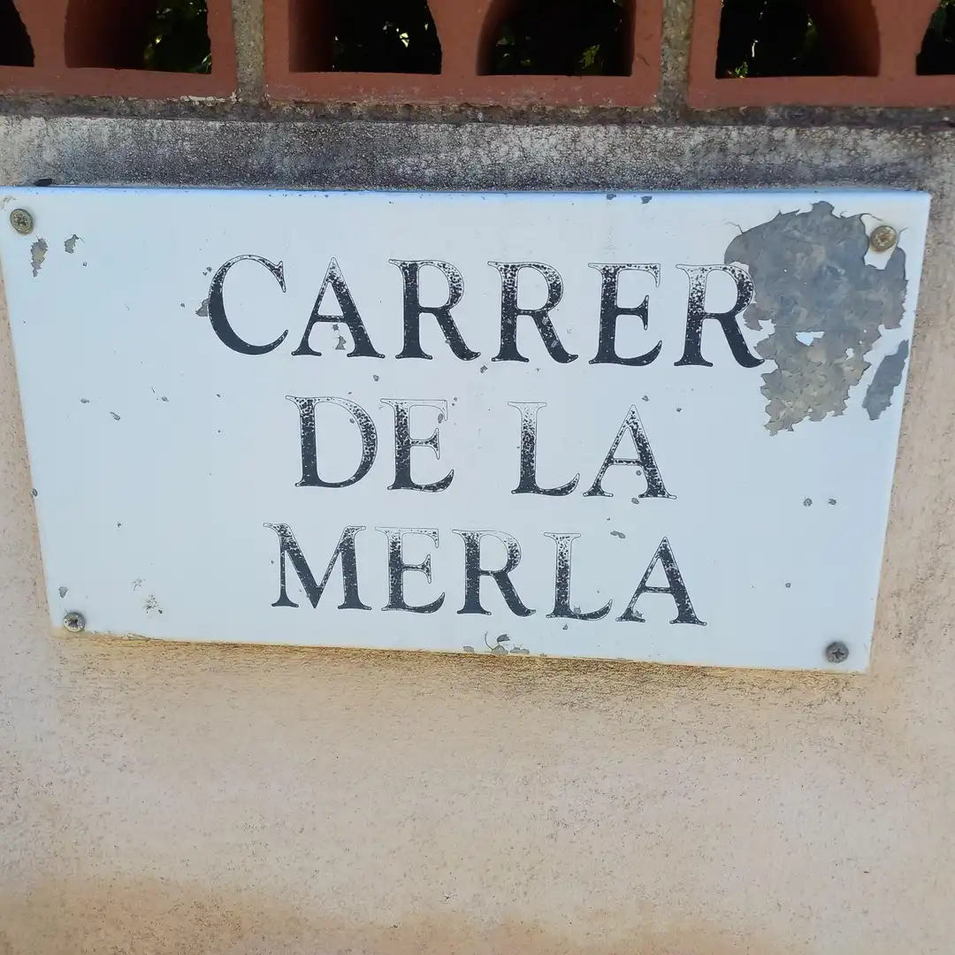 Residential land for sale in Carrer de la Merla 4, imagen 8