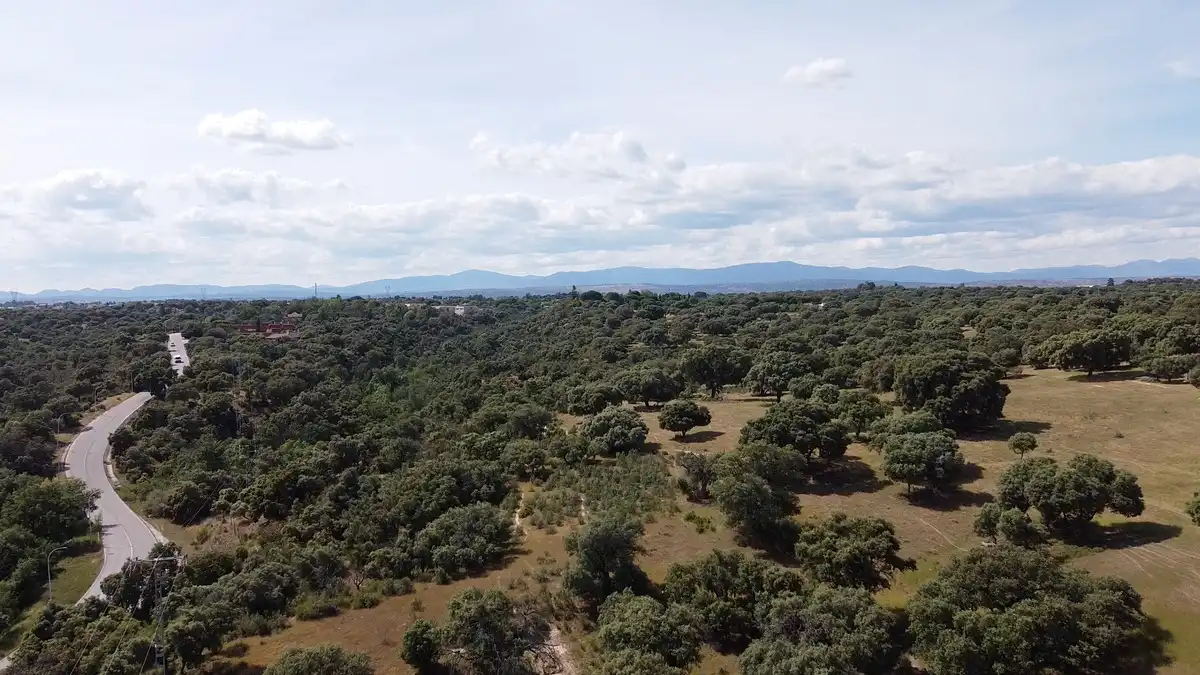 Casa con terrazza in vendita a Raya del Palancar - Guadamonte, imagen 20
