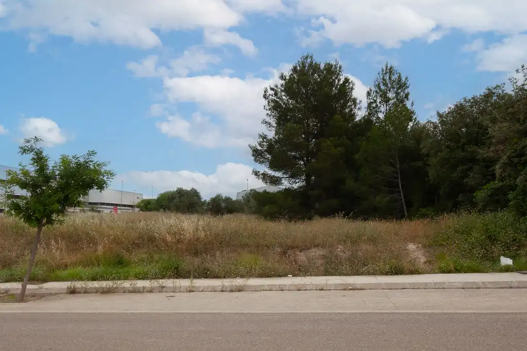 Terrain rustique à vendre à Casa Balones 1, imagen 16