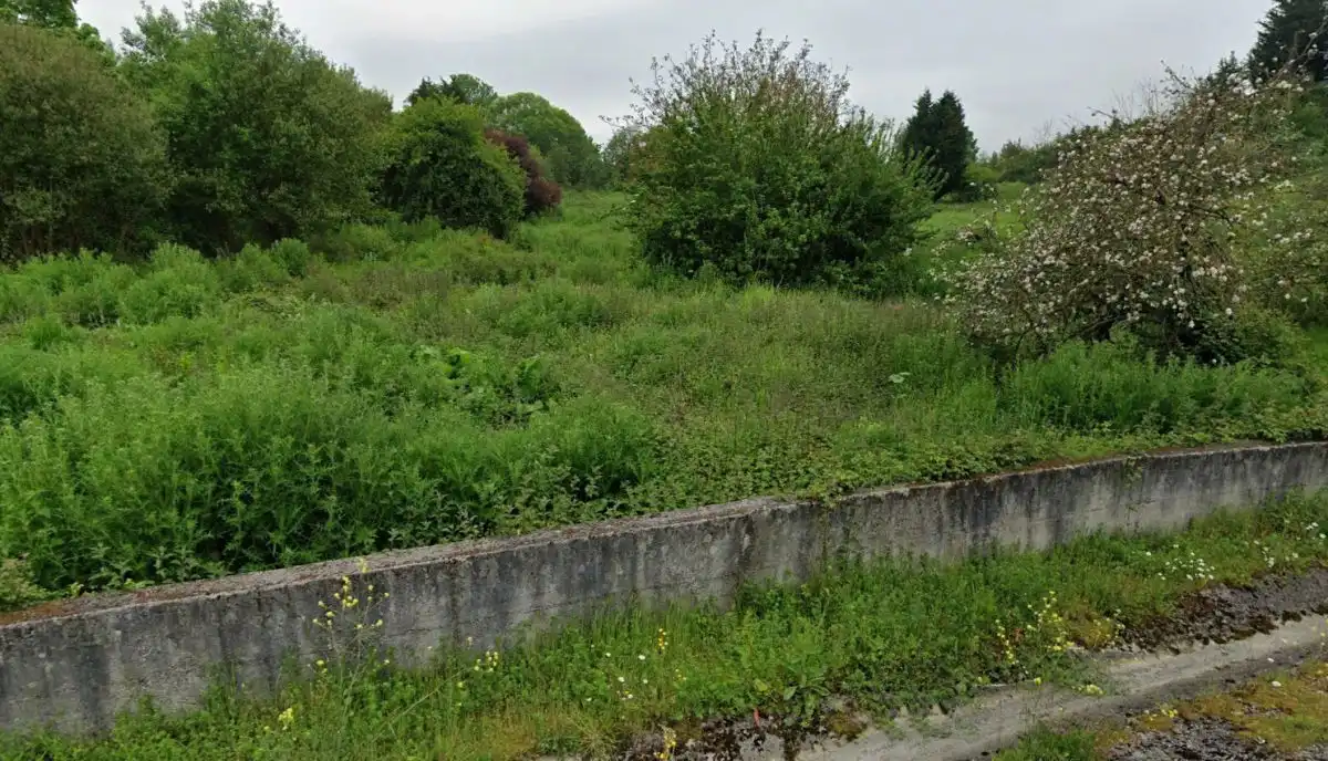 Rural land for sale in Sur, imagen 5