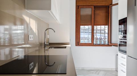 Photo 3 of House or chalet to rent in Sanlúcar la Mayor, Sevilla