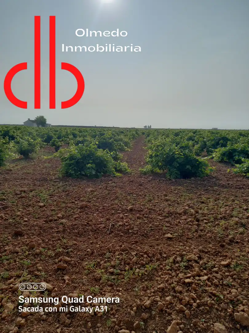 Terreno rústico en venta en Tomelloso, imagen 9