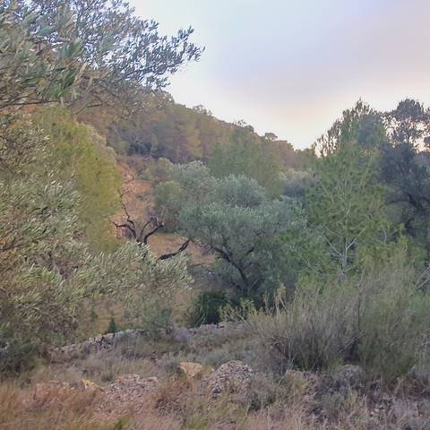 Terreno en Venta en El Pinell de Brai