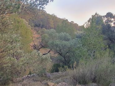 Rustikales Grundstück zum Verkauf in El Pinell de Brai